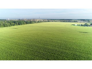 Tillable & Wooded Farmland in Allen County, Indiana - LAND AUCTION - 184+/- ACRES OFFERED IN 3 TRACTS IN ALLEN COUNTY, INDIANA